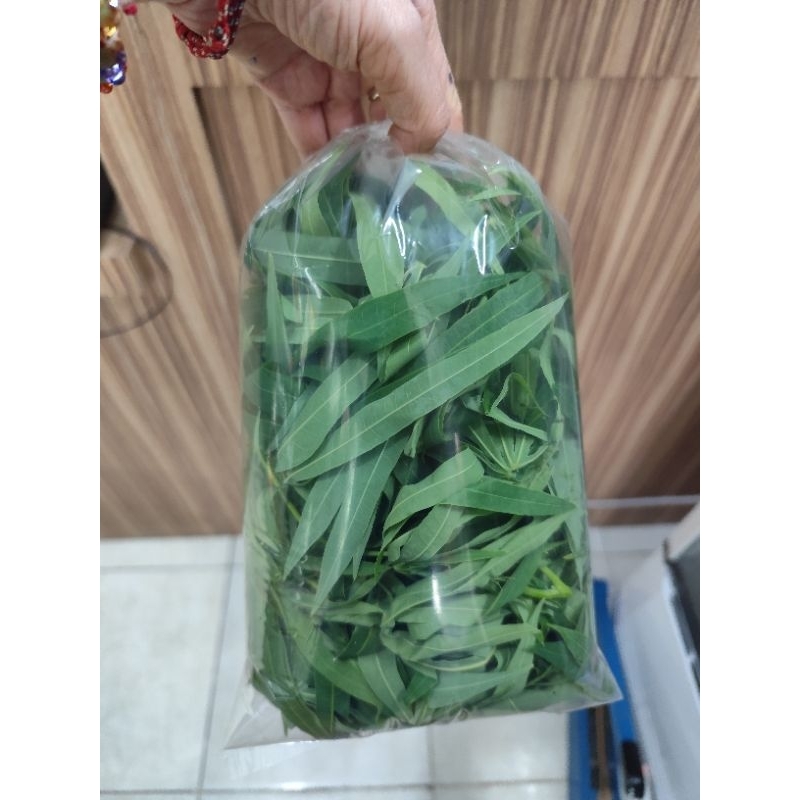 

Daun ubi ( Singkong) muda (petik)