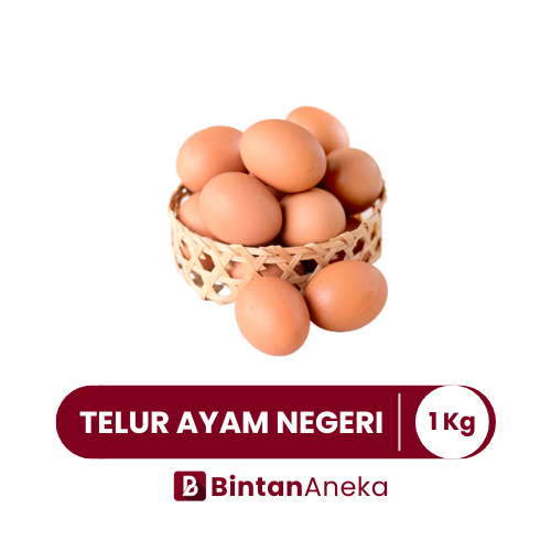 

Telur Ayam Negeri / Telur Ayam Horn