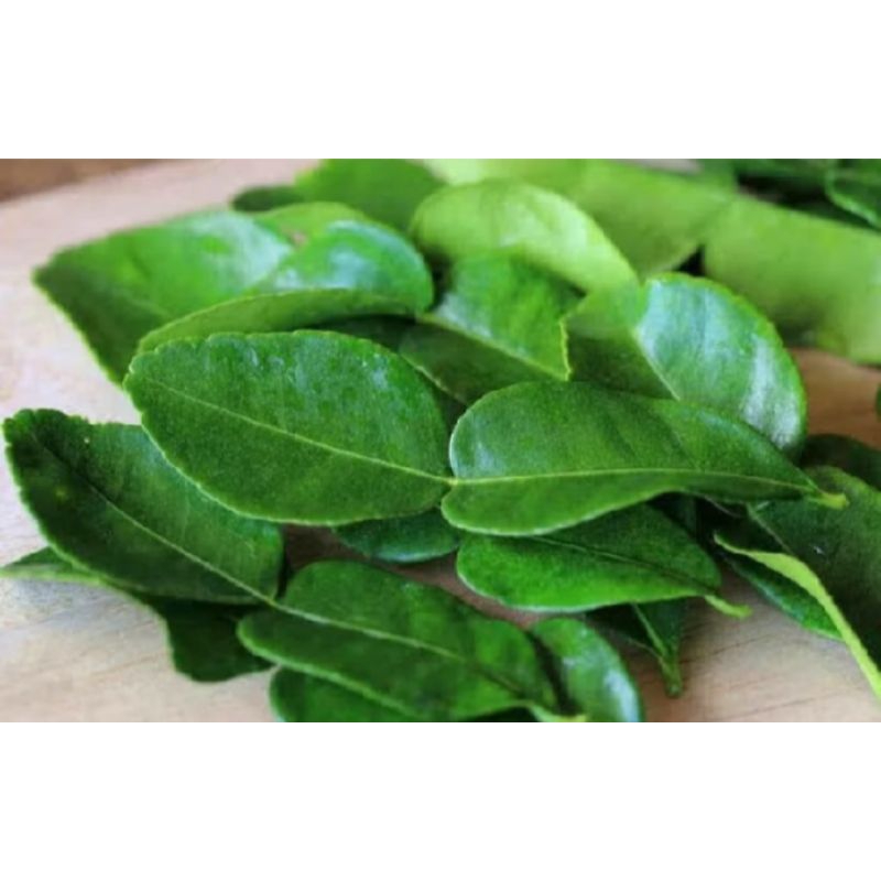 

Daun jeruk nipis 150gram