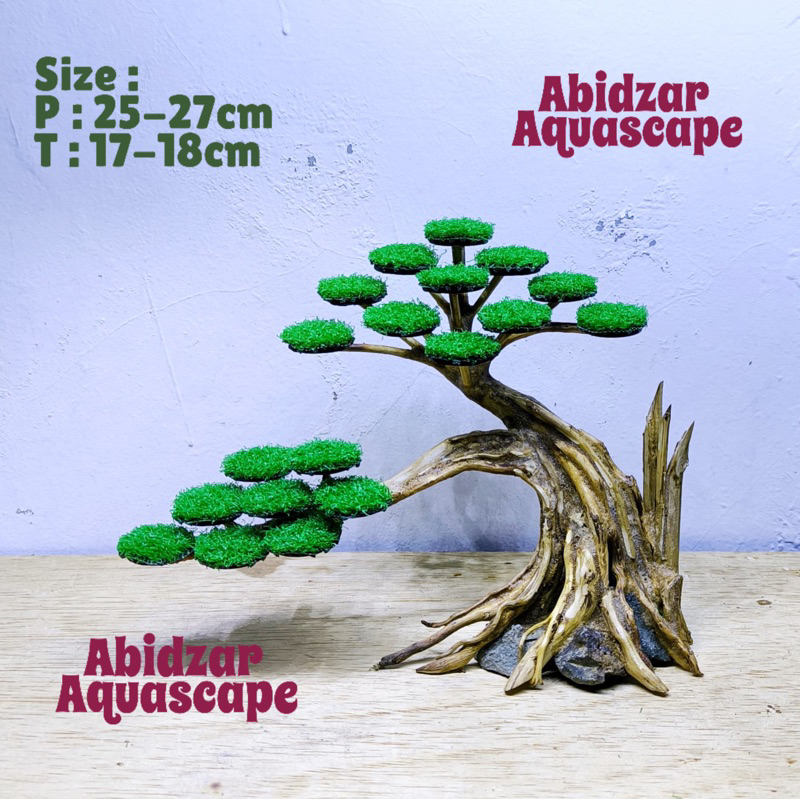 bonsai aquascape siap pakai free moss