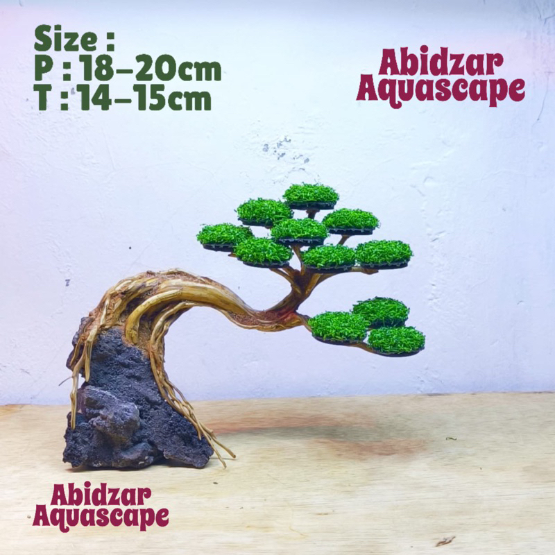 Bonsai aquascape siap pakai free moss sintetis asli
