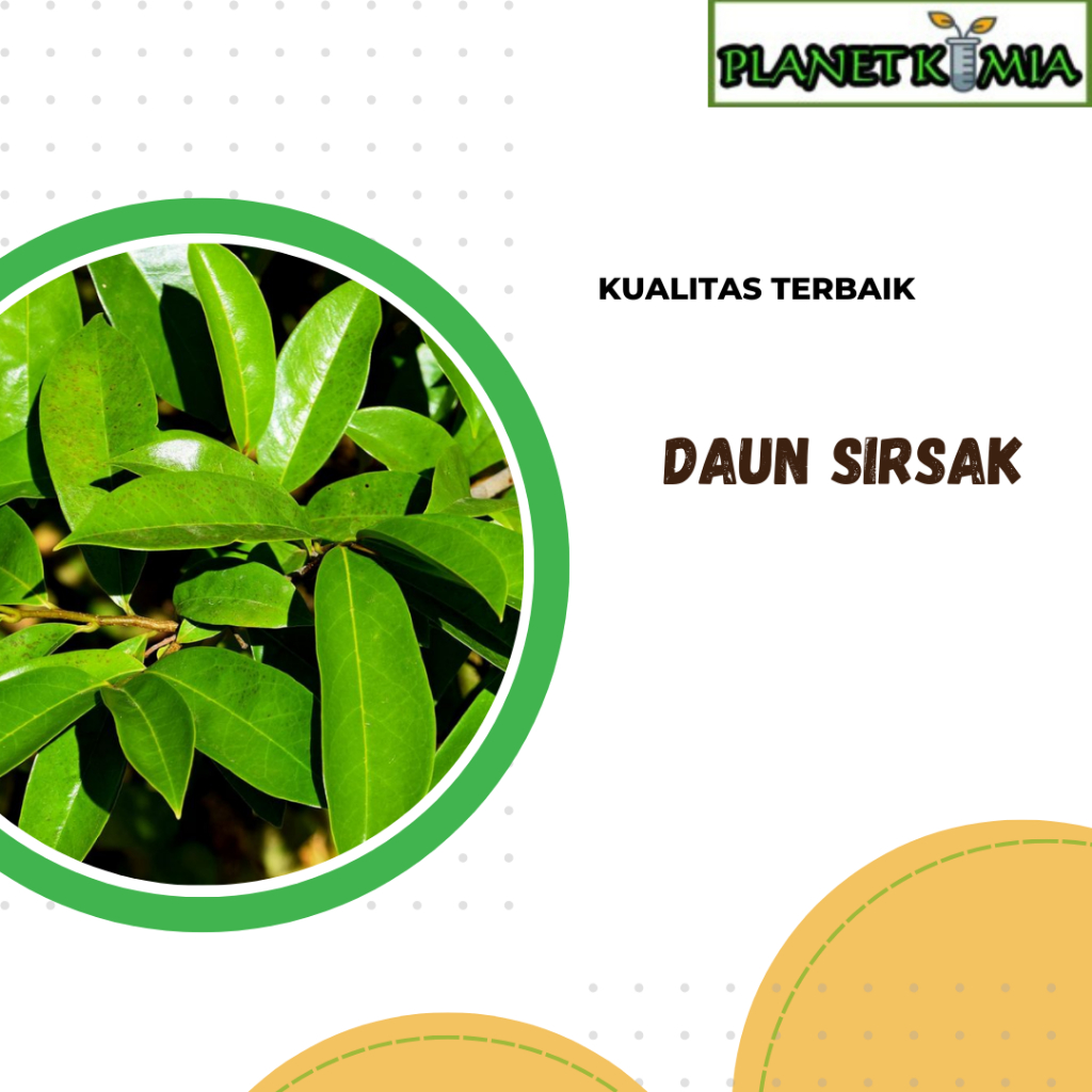 

dried,serbuk daun sirsak best product