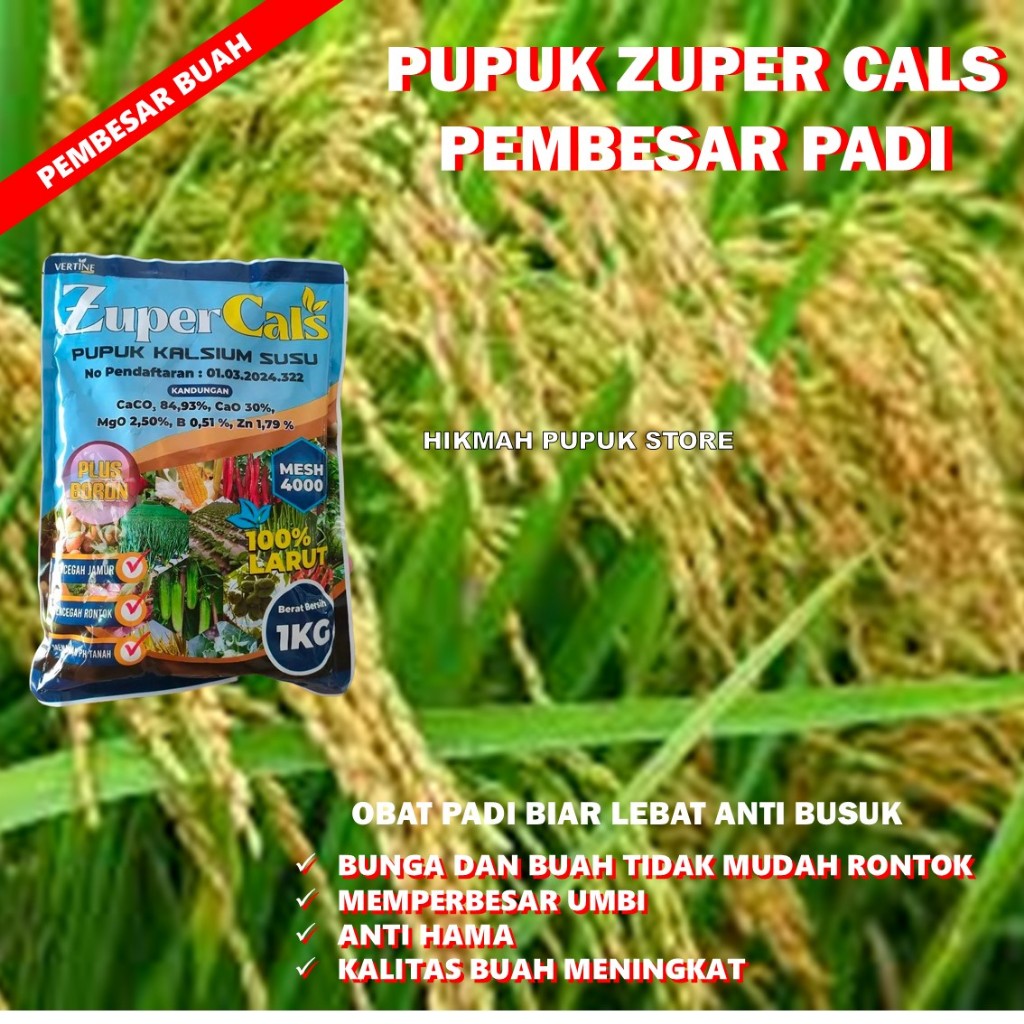 PUPUK ANTI BUSUK BATANG PADI ZUPERCALS 1 KG Pupuk Pencegah Busuk PADI, Busuk Buah, Busuk Batang, Bus