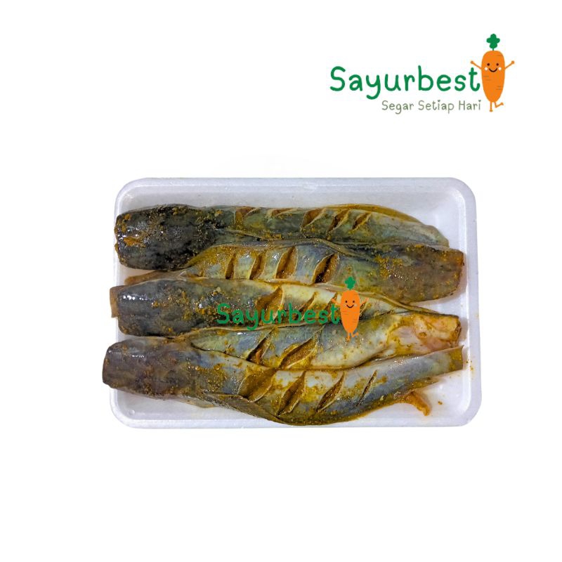 

(PO KIRIM BESOK) Ikan Lele Bumbu Kuning Isi 4-5 Ekor