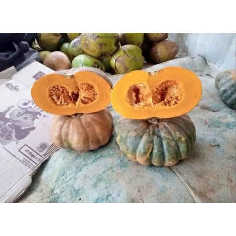 

buah labu ataw waluh kuning