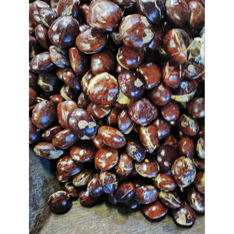 

jengkol berat 500grm