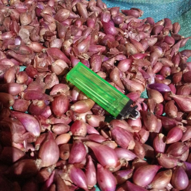 

BAWANG MERAH BREBES uk kecil 1kg