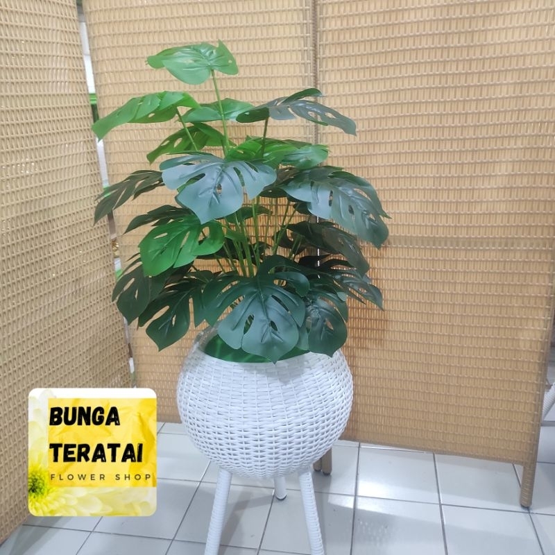 DAUN MONSTERA PISANG TANAMAN ARTIFICIAL P ROTAN STAND BULAT DEKORASI RUMAH