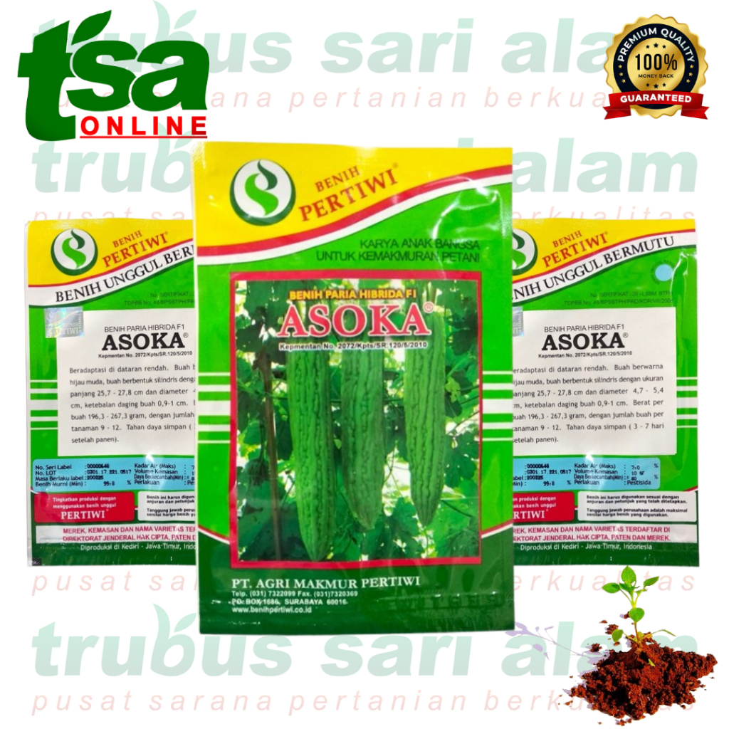 ASOKA F1 isi 10gr - Bibit biji sayur sayuran gambas oyong Hibrida ORIGINAL BENIH PERTIWI