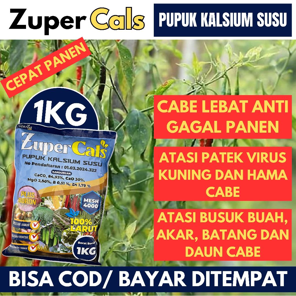 1 KG ZUPERCALS Kalsium Basmi Penyakit Kuning Keriting Rontok Daun Cabe Obat Busuk Buah Cabe Paling B