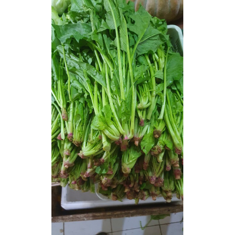 

poiling / bayam jepang