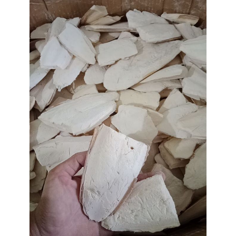 TERMURAH PATAHAN ASINAN TULANG SOTONG BESAR FREE BUBBLE WRAP