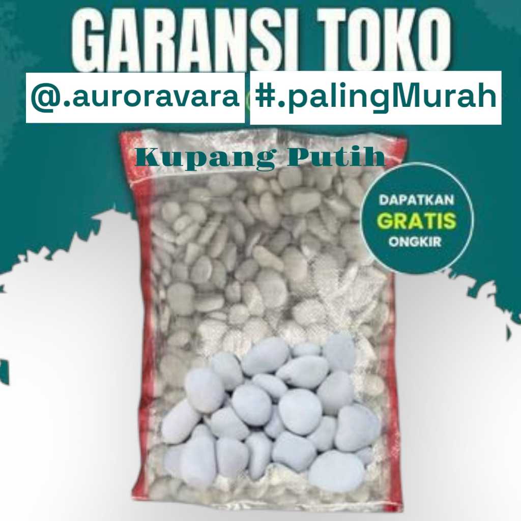 Batu Koral Kupang Putih Hias Taman Tanaman Makam dll