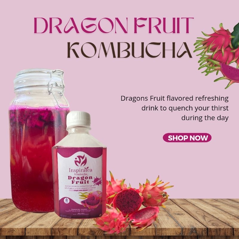 

Kombucha Dragon Fruits | Minuman probiotik Alami|TehKesehatan