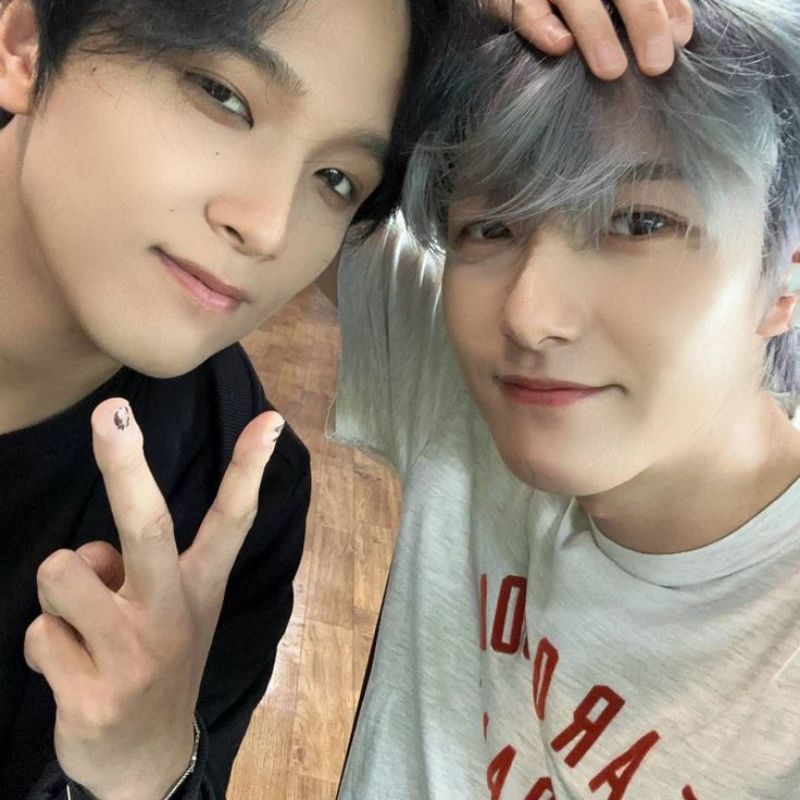 

Packing Cahol PVC 7Dream