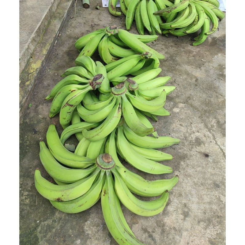 

pisang tanduk madu Muria super 3 biji