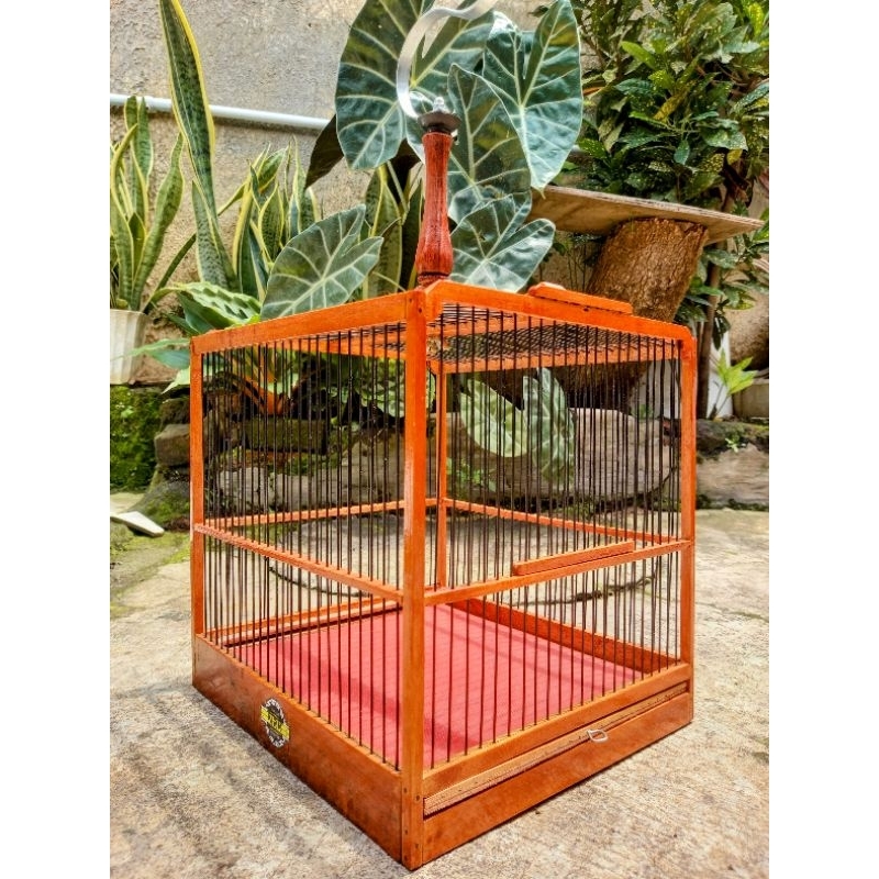 Sangkar Unik Burung Kecil