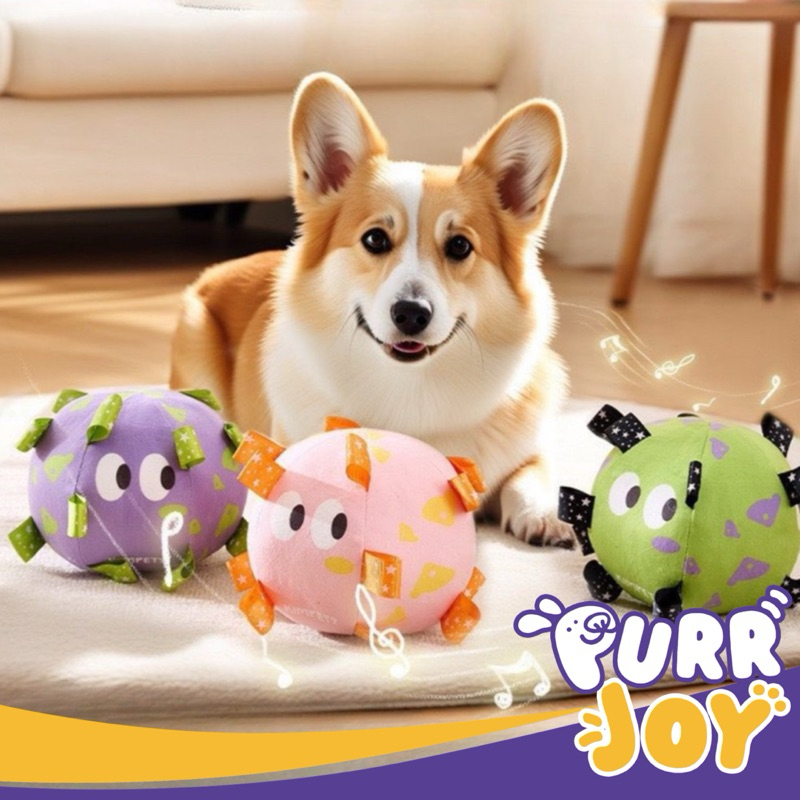 PURRJOY Kimpets Boneka Bola Lonceng Mainan Anjing / Boneka Bola Mainan Anjing / Boneka Mainan Anjing