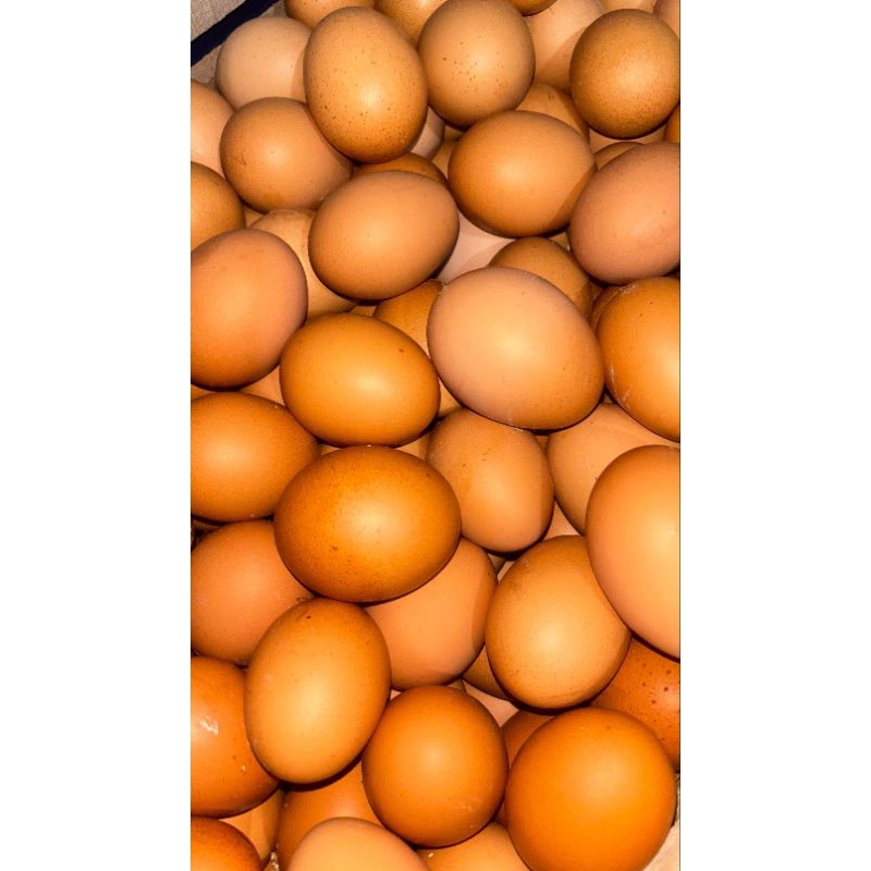 

Telur Ayam Negri 1KG