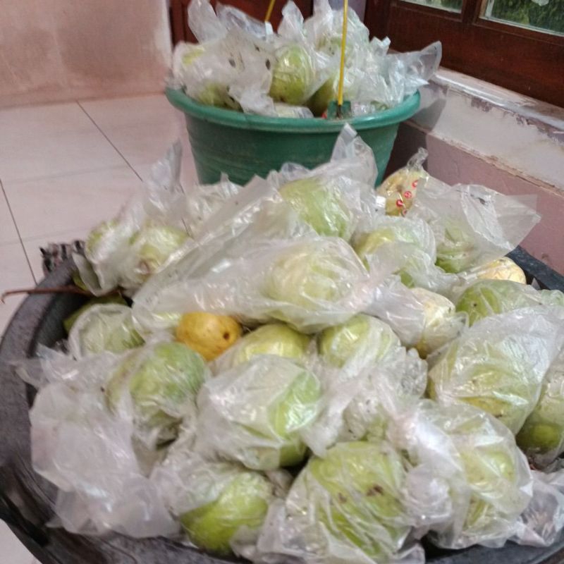 

jambu biji merah(buat jus) 5 kg langsung petani