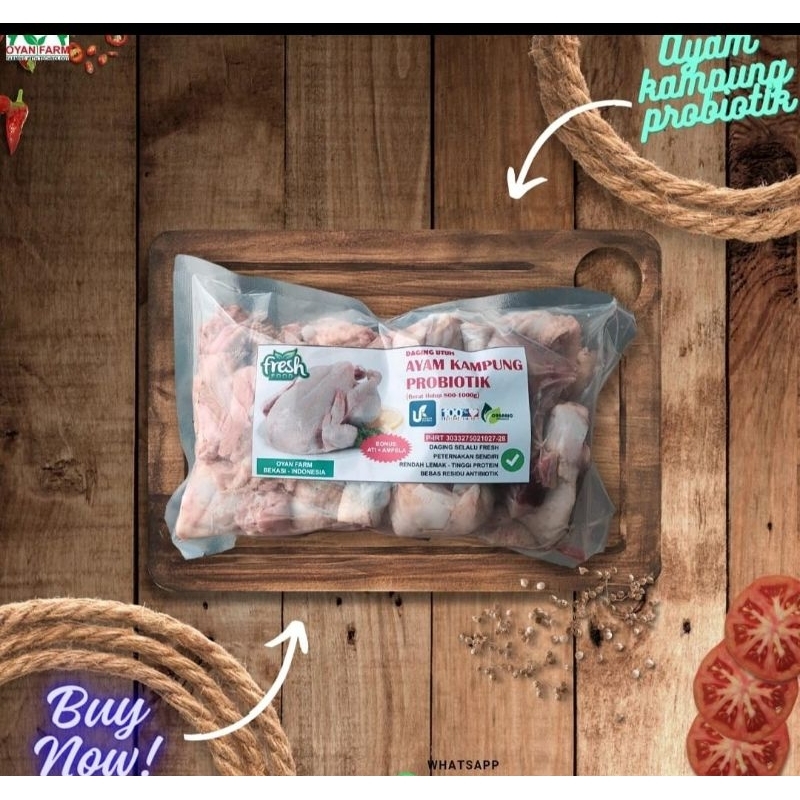 

Ayam Kampung Probiotik 0,6-0,7