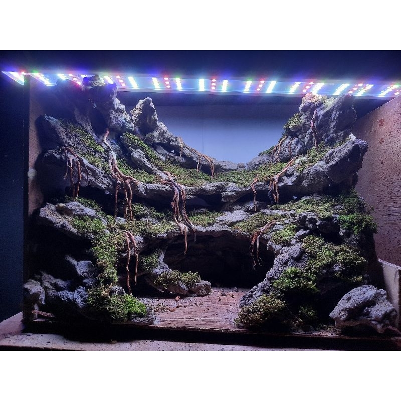 hardscape 40cm
