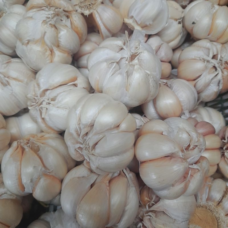 

bawangbancigede500grm