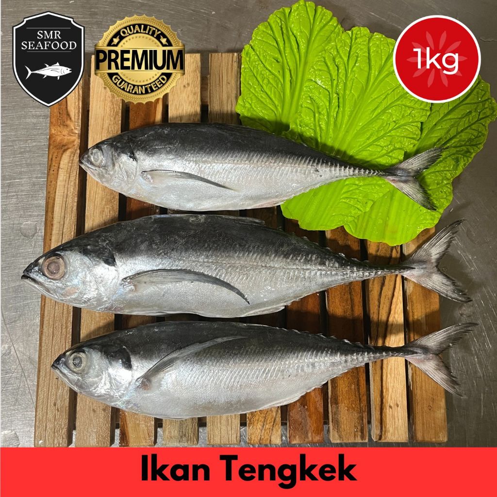 

Ikan Tengkek / Hardtail Scad | Frozen Beku Utuh 1KG