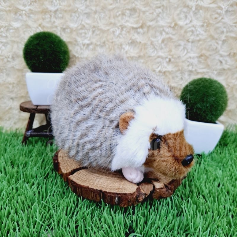 Boneka Landak S Muka Coklat Boneka Landak Hedgehog Bulu Sembur Coklat Boneka Landak Mini