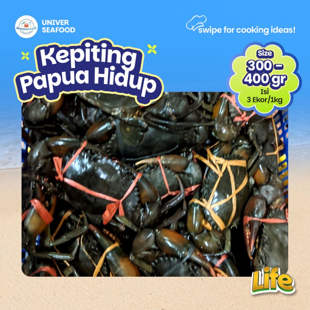 

Kepiting Papua Jantan 300-400 gr Hidup/ 1 kg (Isi 3)