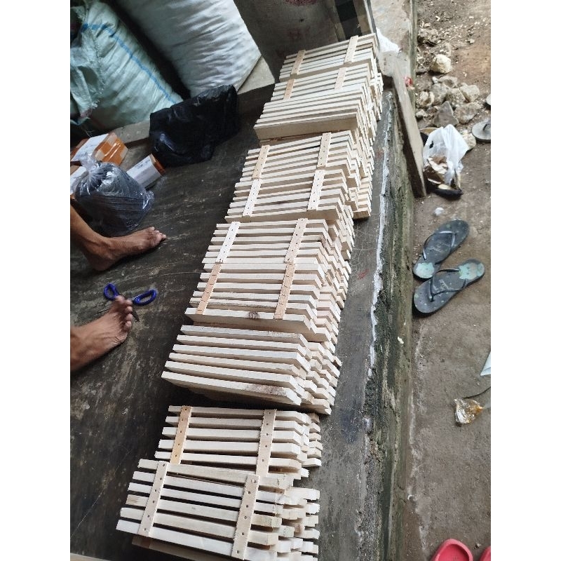 papan bsf isi 6 pcs untuk tempat bertelur bsf lalat magot telur bsf