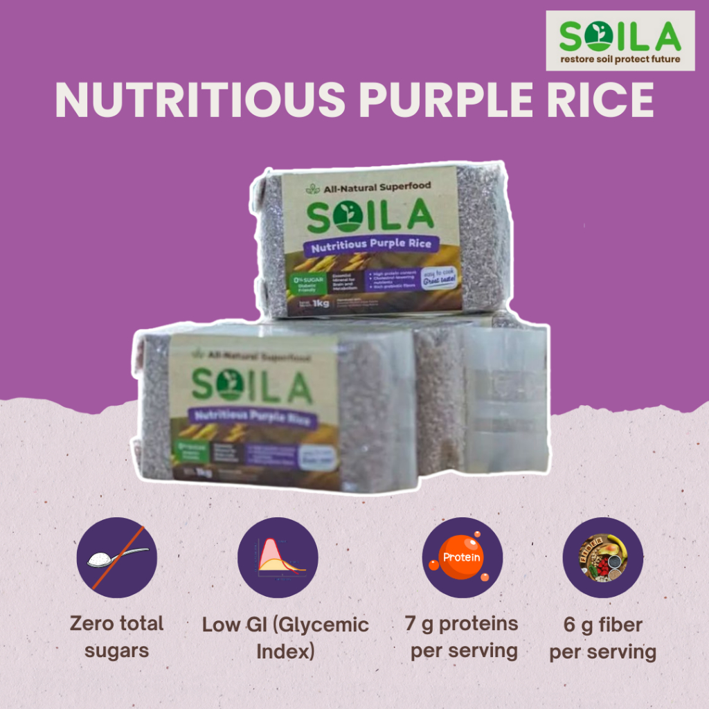 

Beras Ungu SOILA || Healthy and Nutritious Purple Rice
