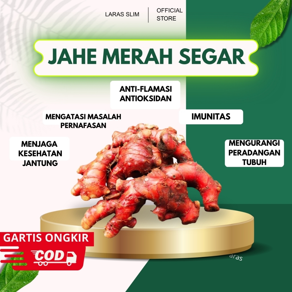 

Jahe Merah Premium Quality Jahe Merah Segar Organik Traditional 1 Kg | Jahe Merah Berkhasiat | Jahe Merah Tradisional | Jahe Merah Asli