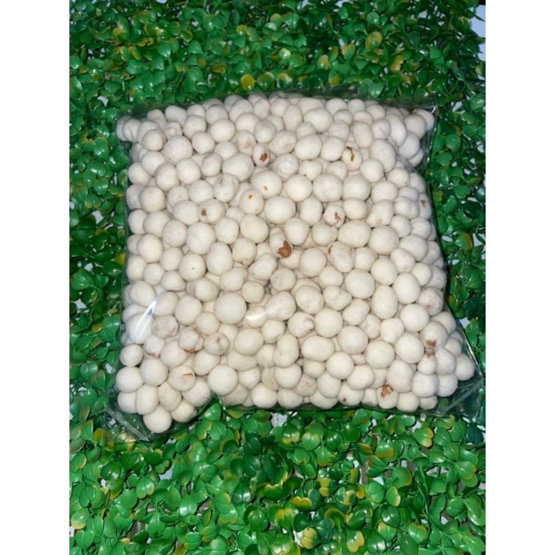 

kacang atom ori