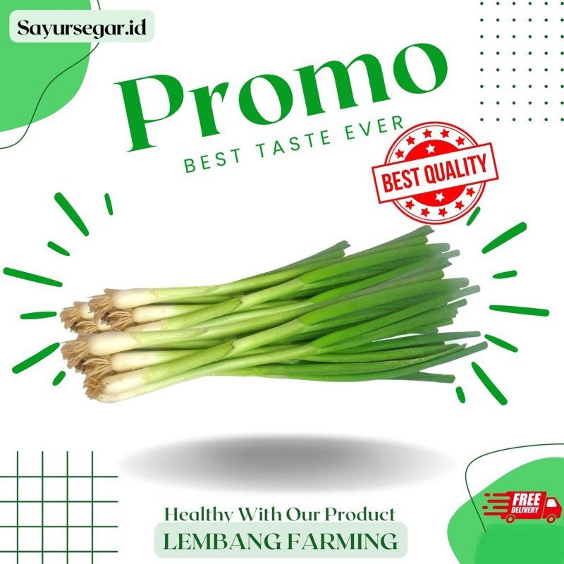 

PROMO!!! bawang daun segar konvensional