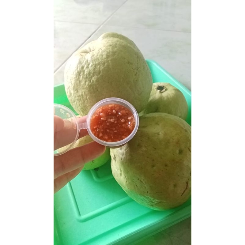 

jambukristal plus bumbu kacang