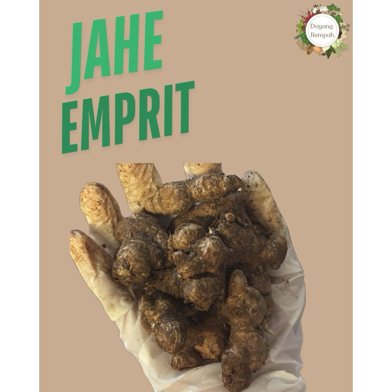 

Jahe Emprit 500gr / 1kg