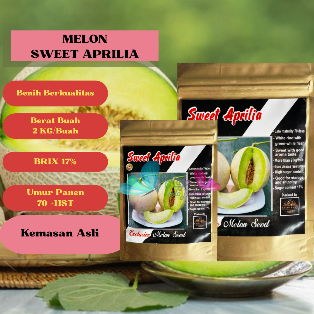 ORI 10 GRAM Biji Benih Melon Sweet Aprilia F1 - Melon sweet net lavender renyah