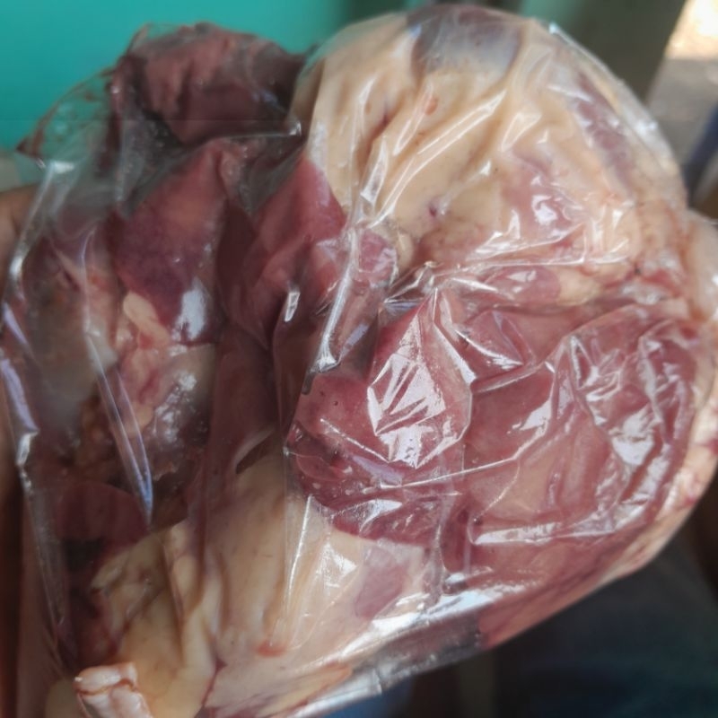 

Ati ampela 1 pasang