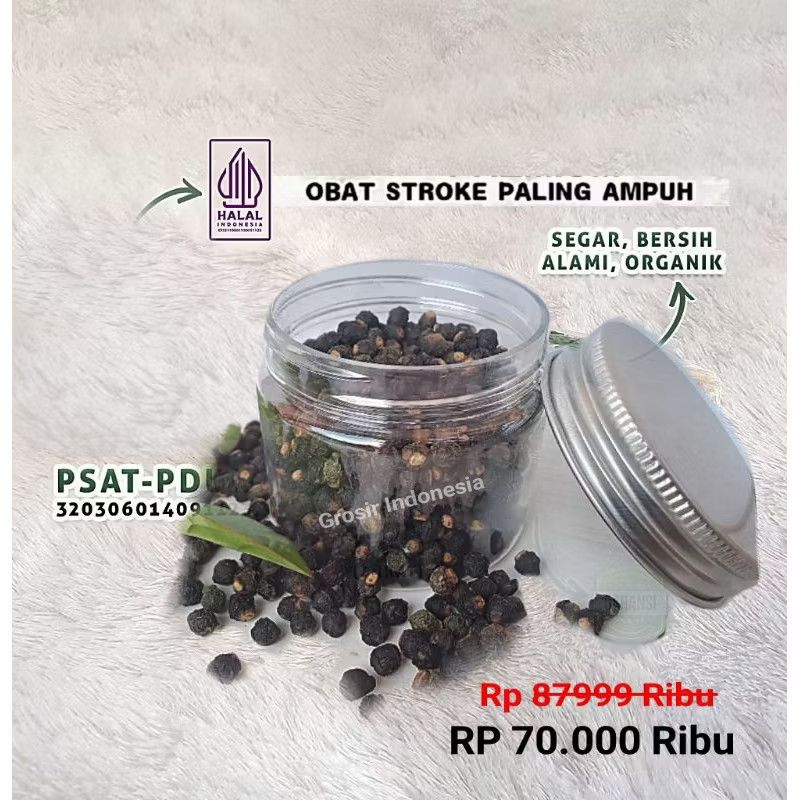 

Buah Angkung Kering Isi 550 Biji Obat Stroke Herbal Premium