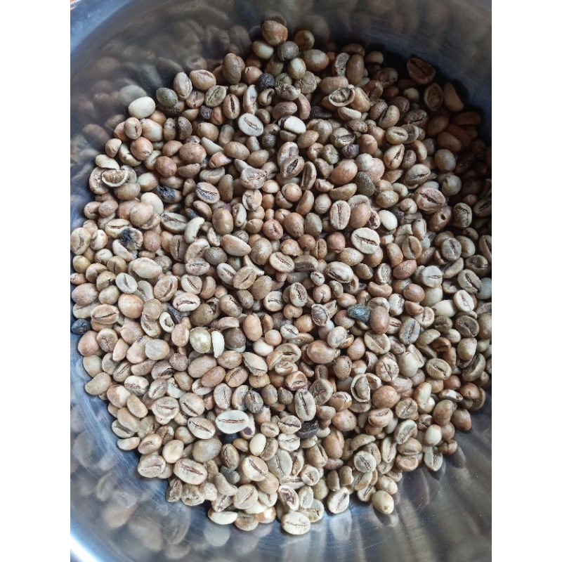 Green Bean Robusta
