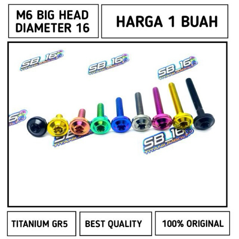 BAUT M6 BIG HEAD (DIAMETER 16) TITANIUM GR5 (DRAT10)