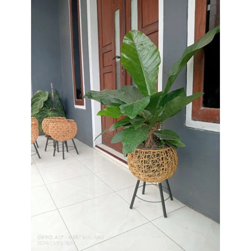 PROMO vas bunga brekele / pot bunga rotan sintetis / standing pot / tatakan bunga / pot bunga anyama
