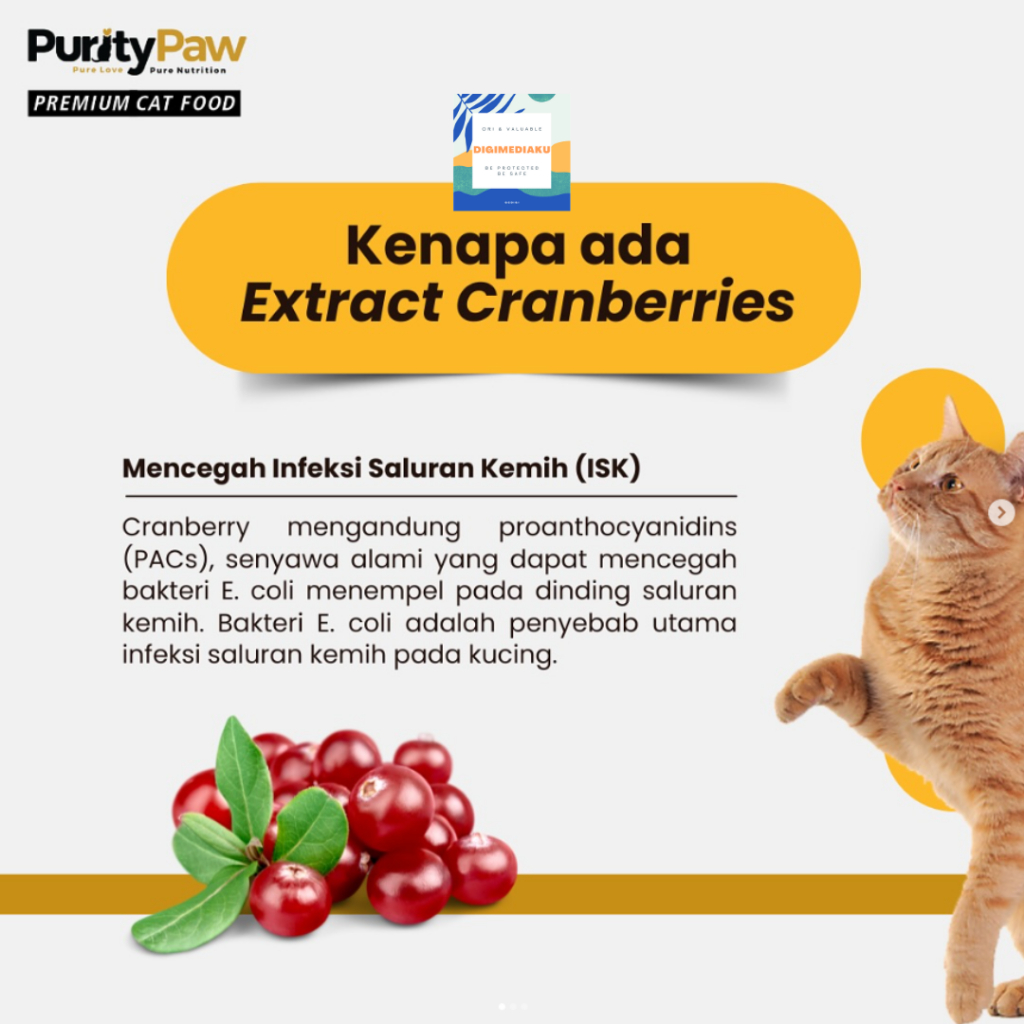 Livvicstore Purity Paw 1.2 Kg Super Premium Cat Food Freshpack All Life Stages Made In Europe Cat