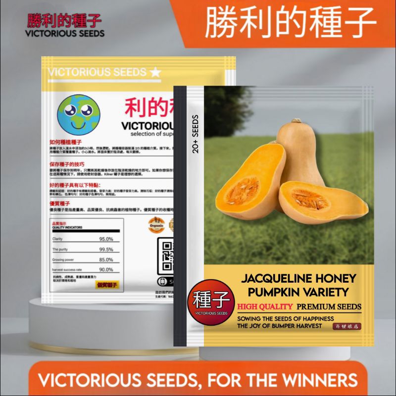 RB 1 Pak (20 Butir) Benih Labu Madu Jacqueline Original Kemasan Import / benih tanaman