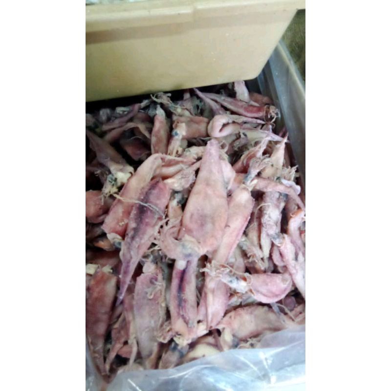 

Ikan Asin Cumi Sotong Rebus 250 gram