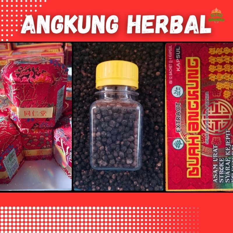 Buah biji Angkung Herbal alami Obat Stroke & Syaraf angong cina dan kapsul