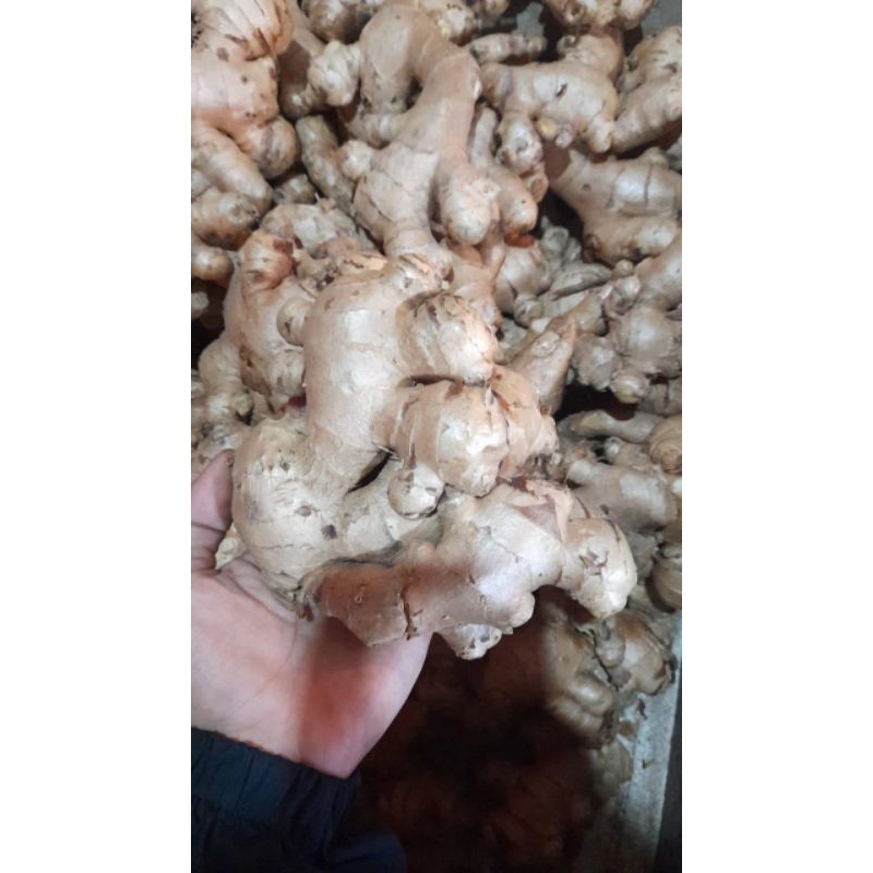 

Jahe super 1kg
