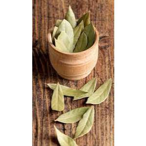 

Daun Salam Kering / Bayleaf