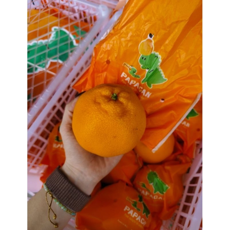 

Jeruk Papagan Dinofresh 5,5 kg